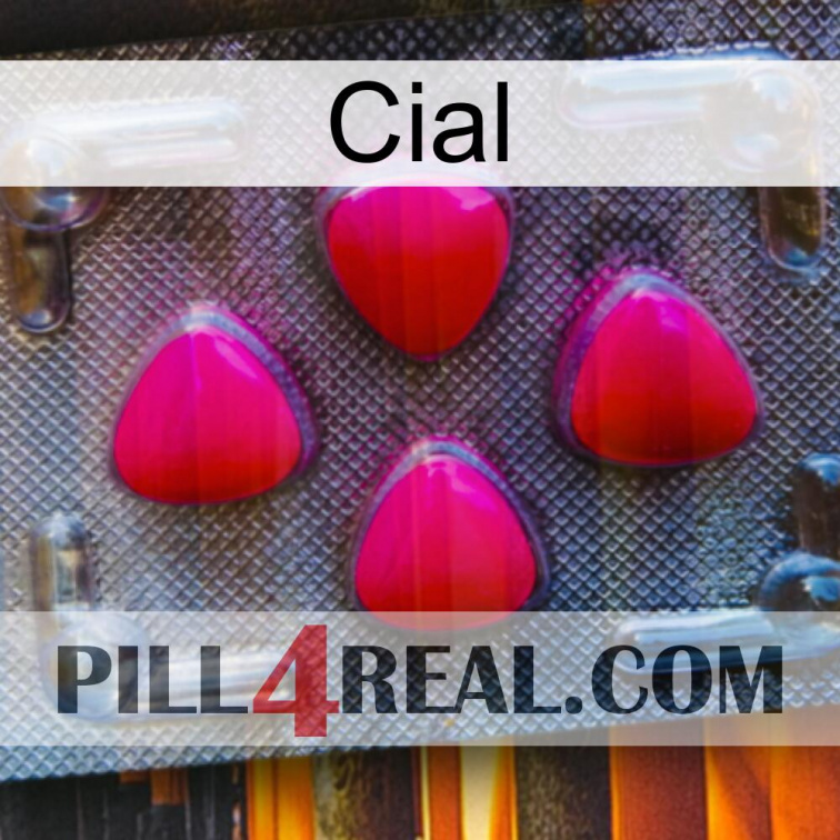 Cial 13